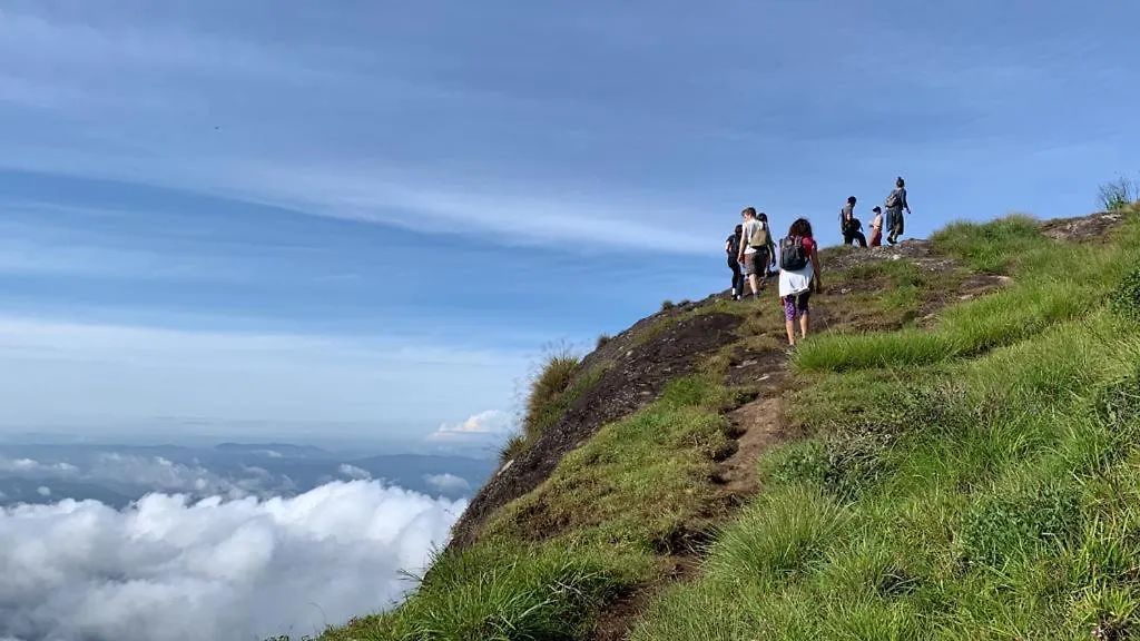 View Valley Homestay Munnar