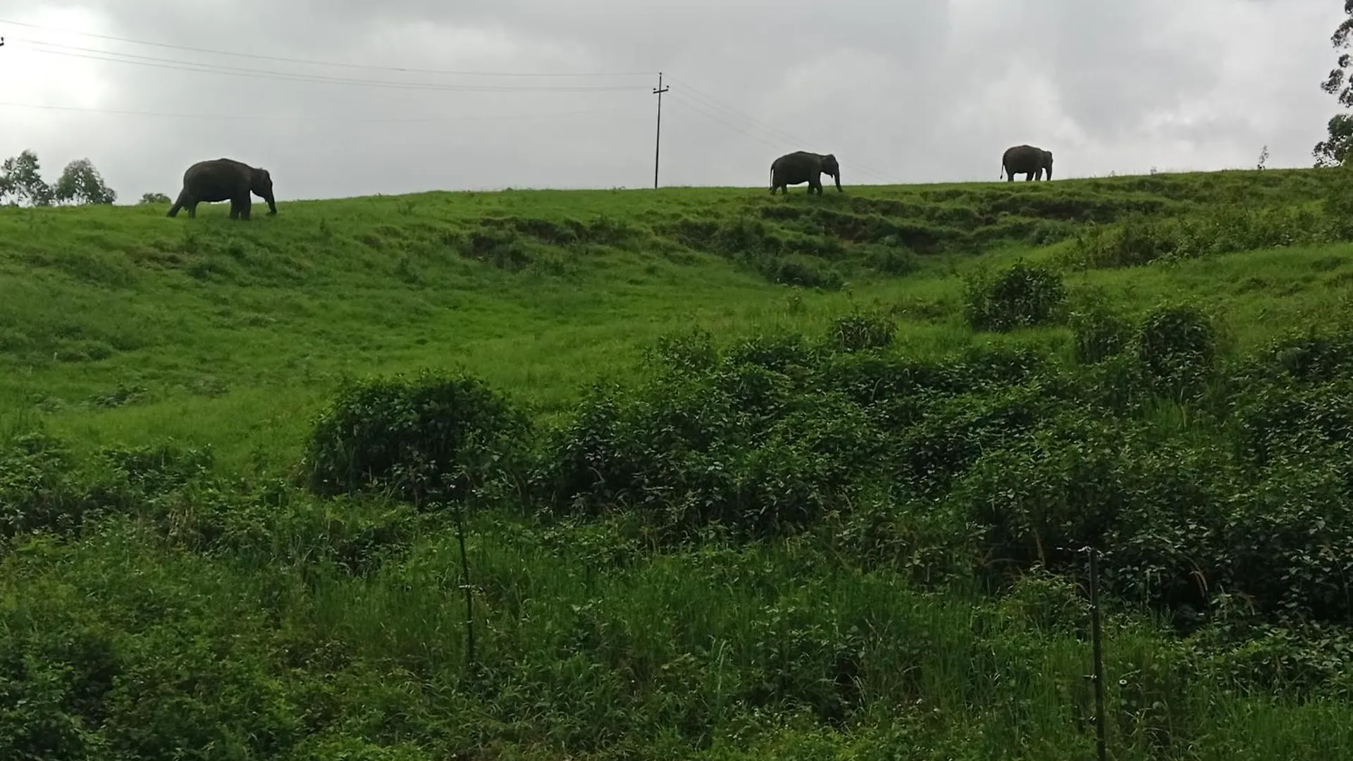 View Valley Homestay Munnar
