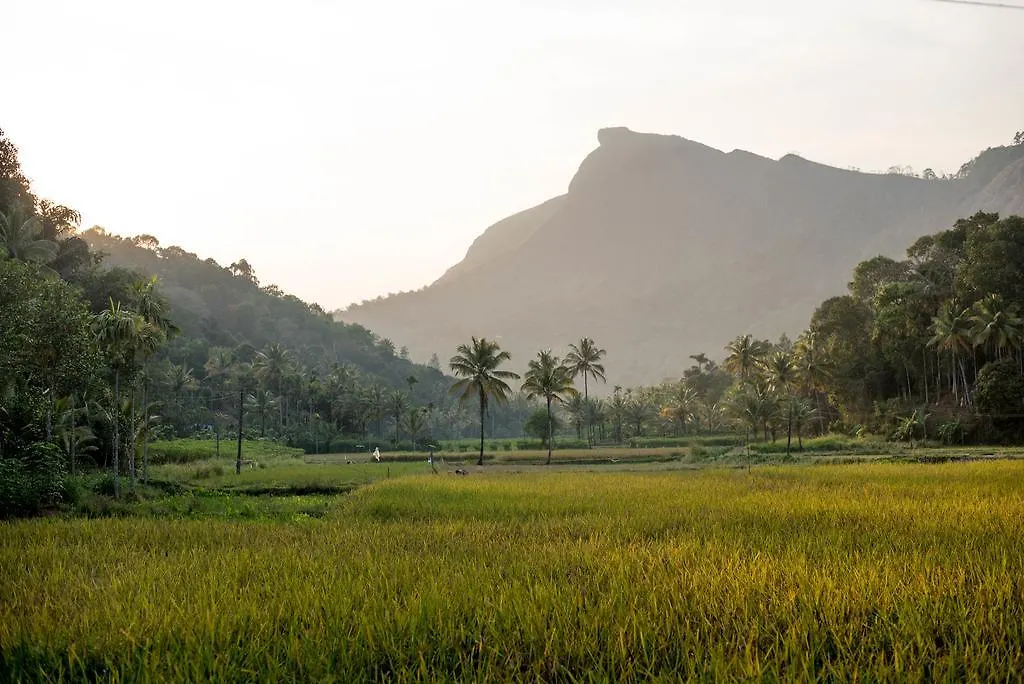 View Valley Homestay Munnar
